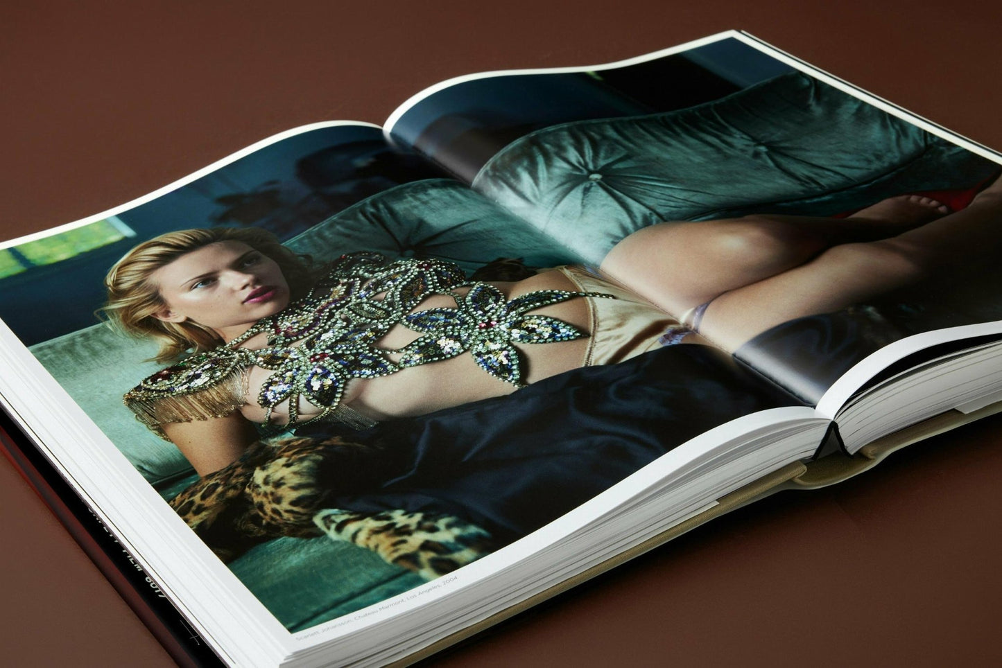 Annie Leibovitz (English) - mosswell.us