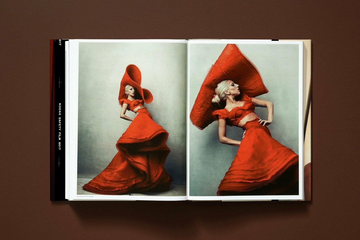 Annie Leibovitz (English) - mosswell.us