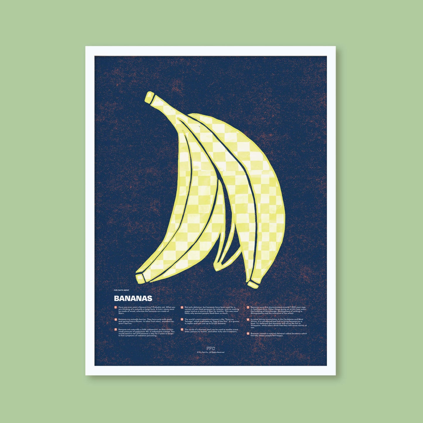 Banana Fun Facts Print - mosswell.us