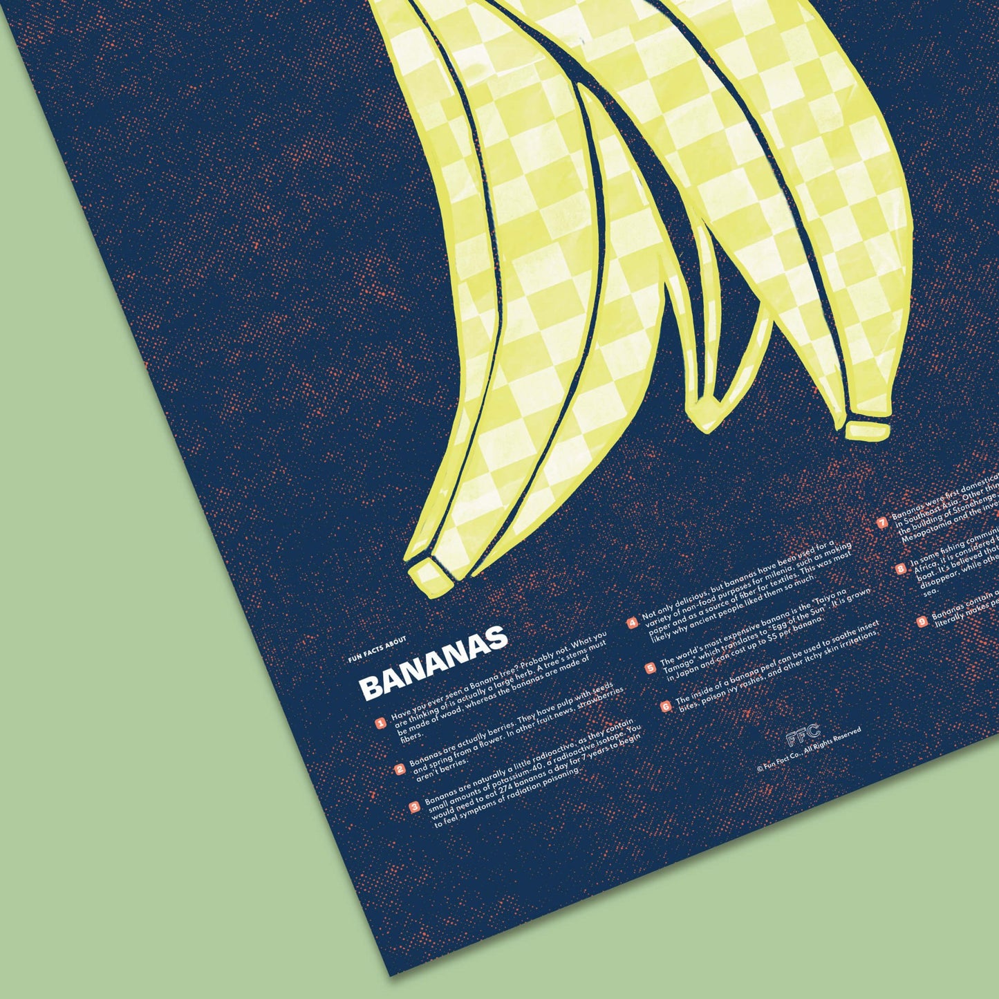 Banana Fun Facts Print - mosswell.us