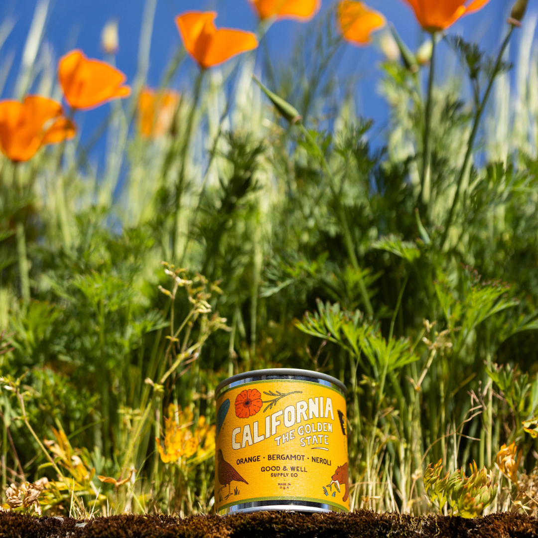 California State Candle - mosswell.us
