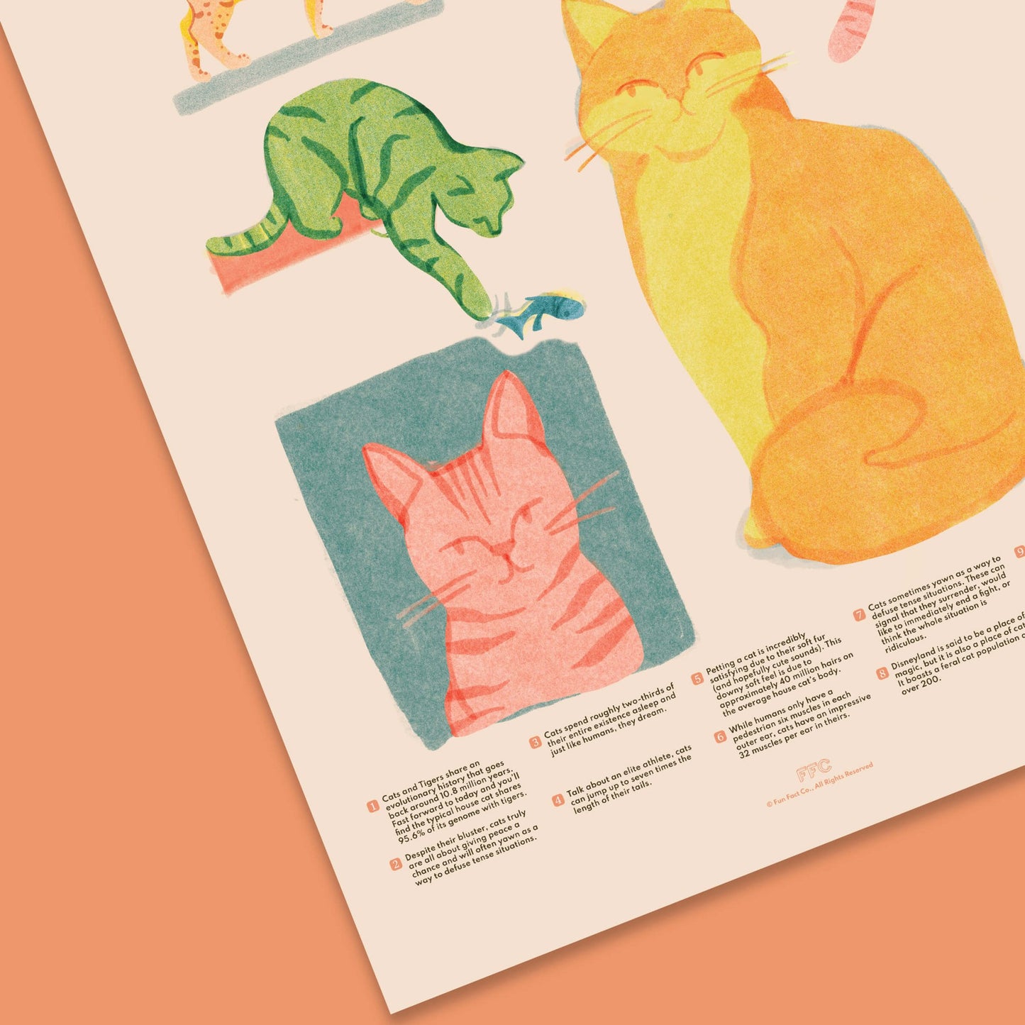 Cat Fun Facts Print - mosswell.us