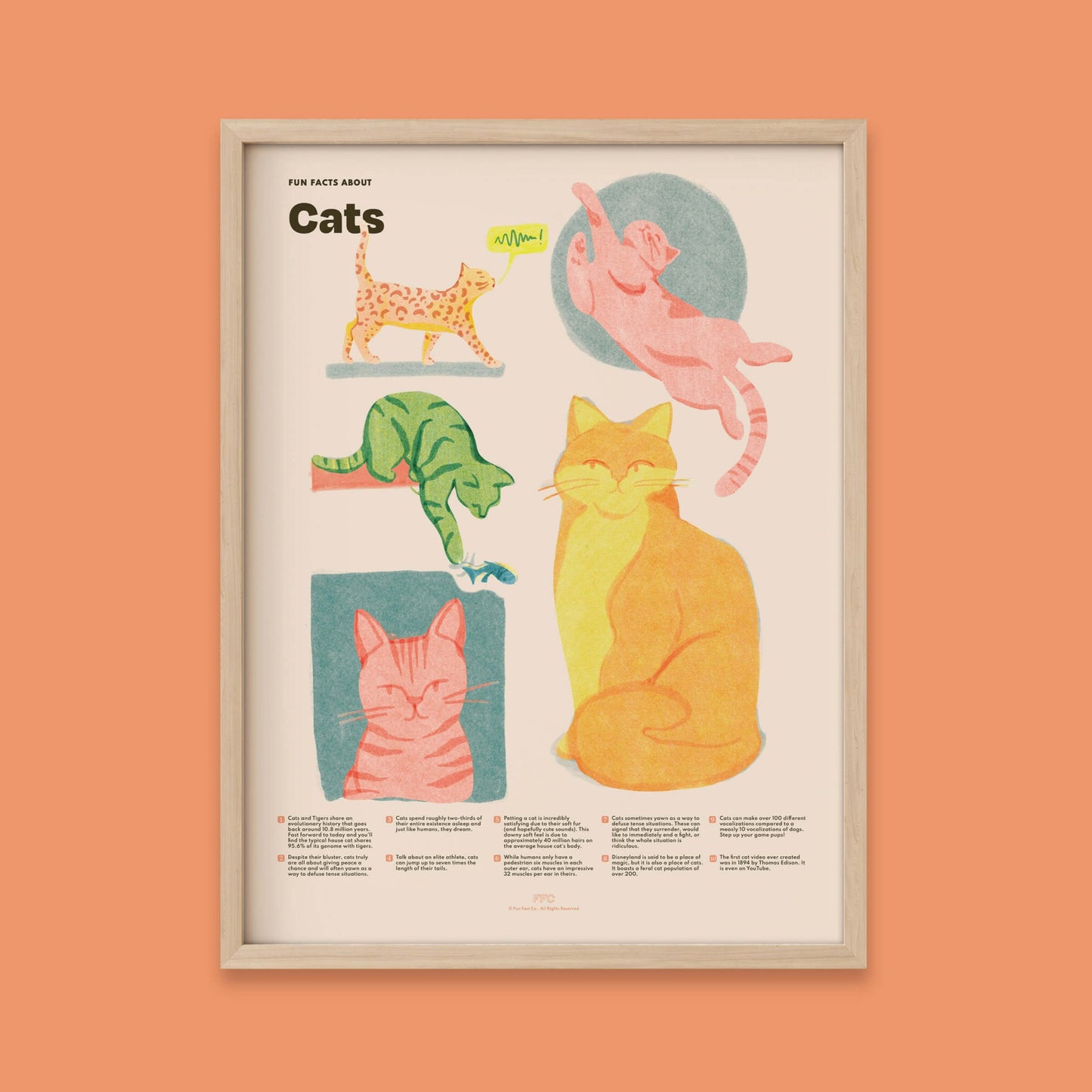 Cat Fun Facts Print - mosswell.us