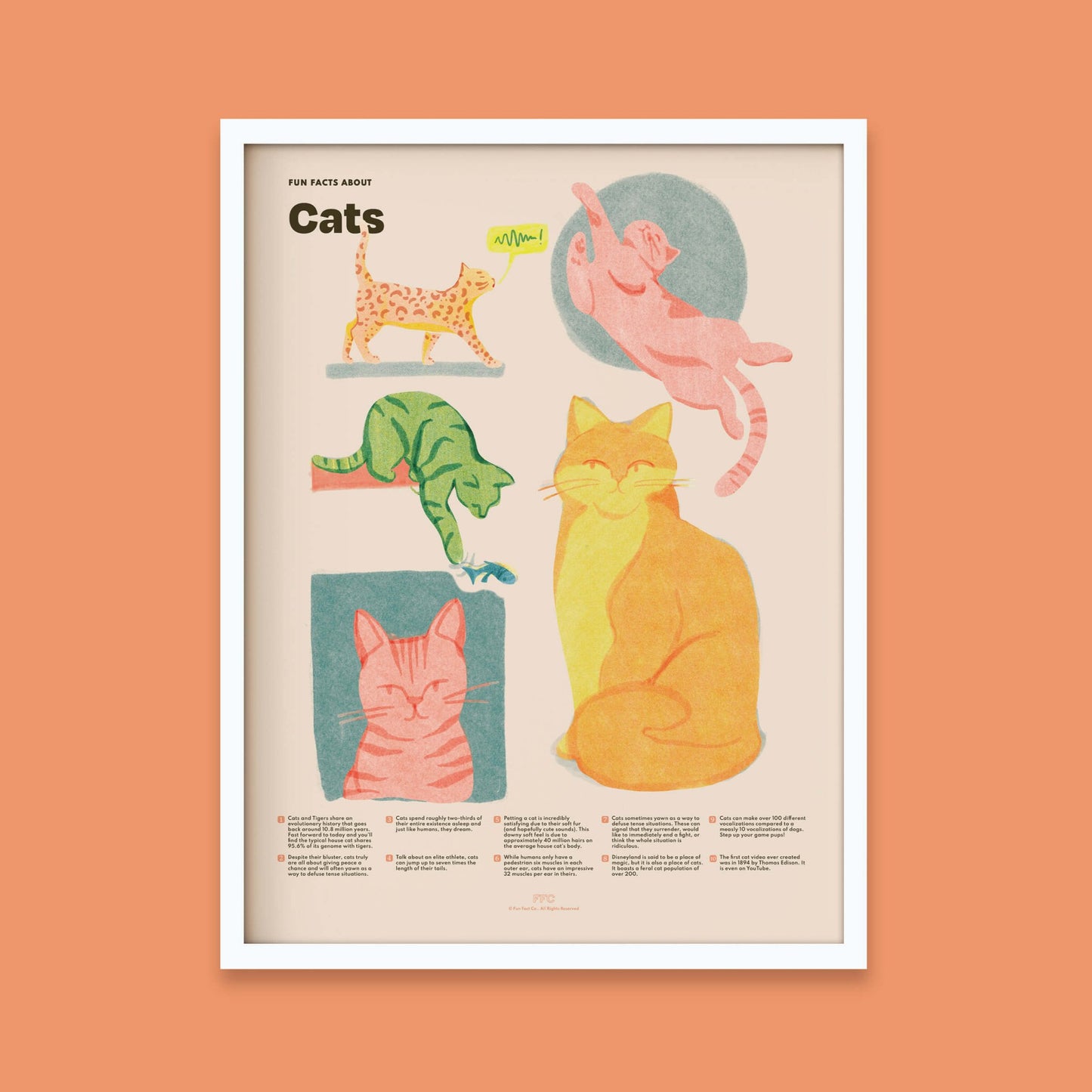 Cat Fun Facts Print - mosswell.us