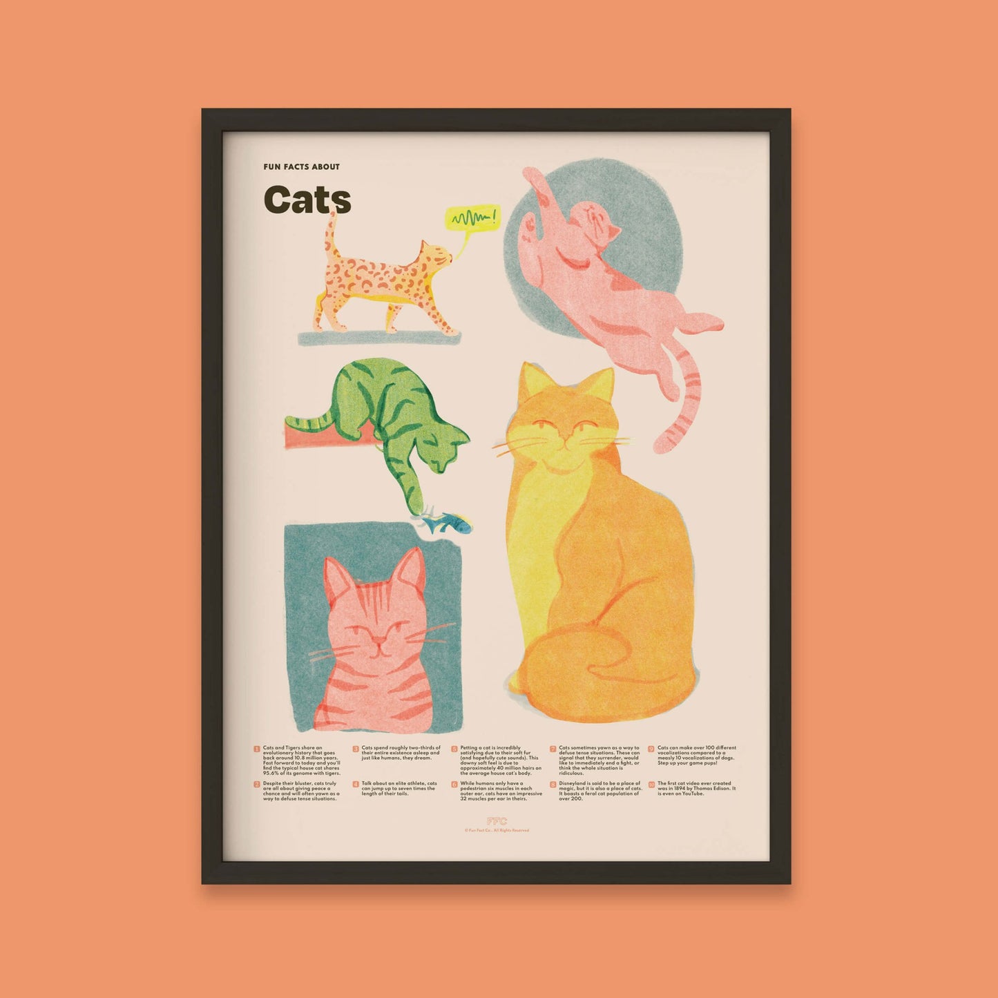 Cat Fun Facts Print - mosswell.us