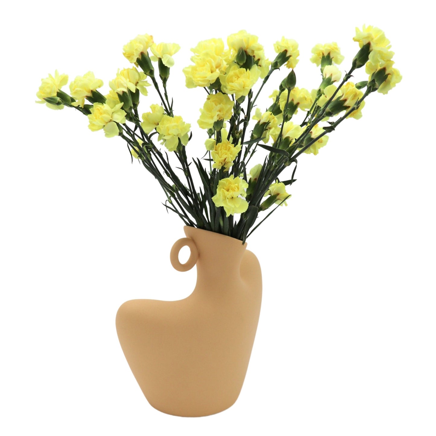 Cream Handle Muse Vase - mosswell.us