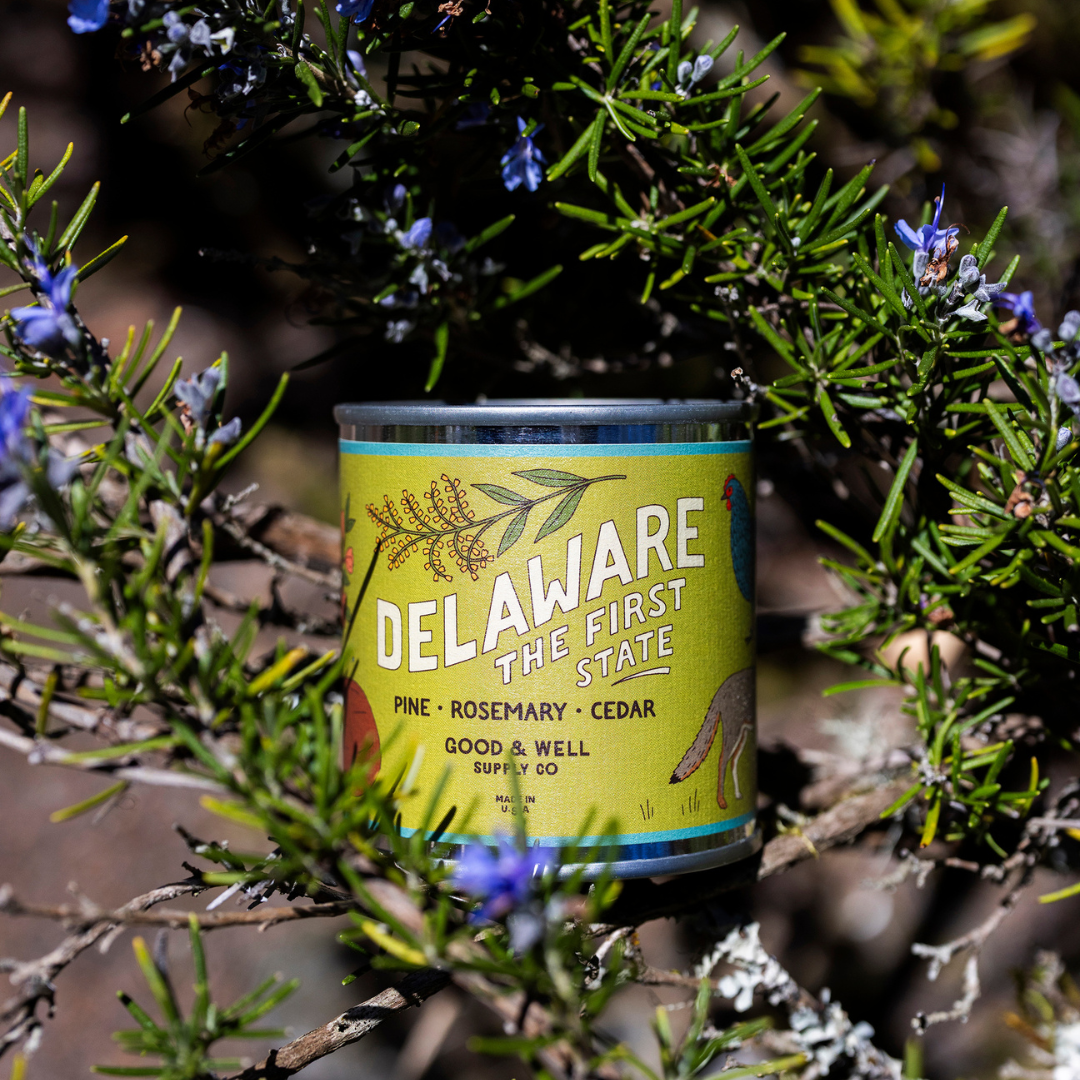 Delaware State Candle - mosswell.us