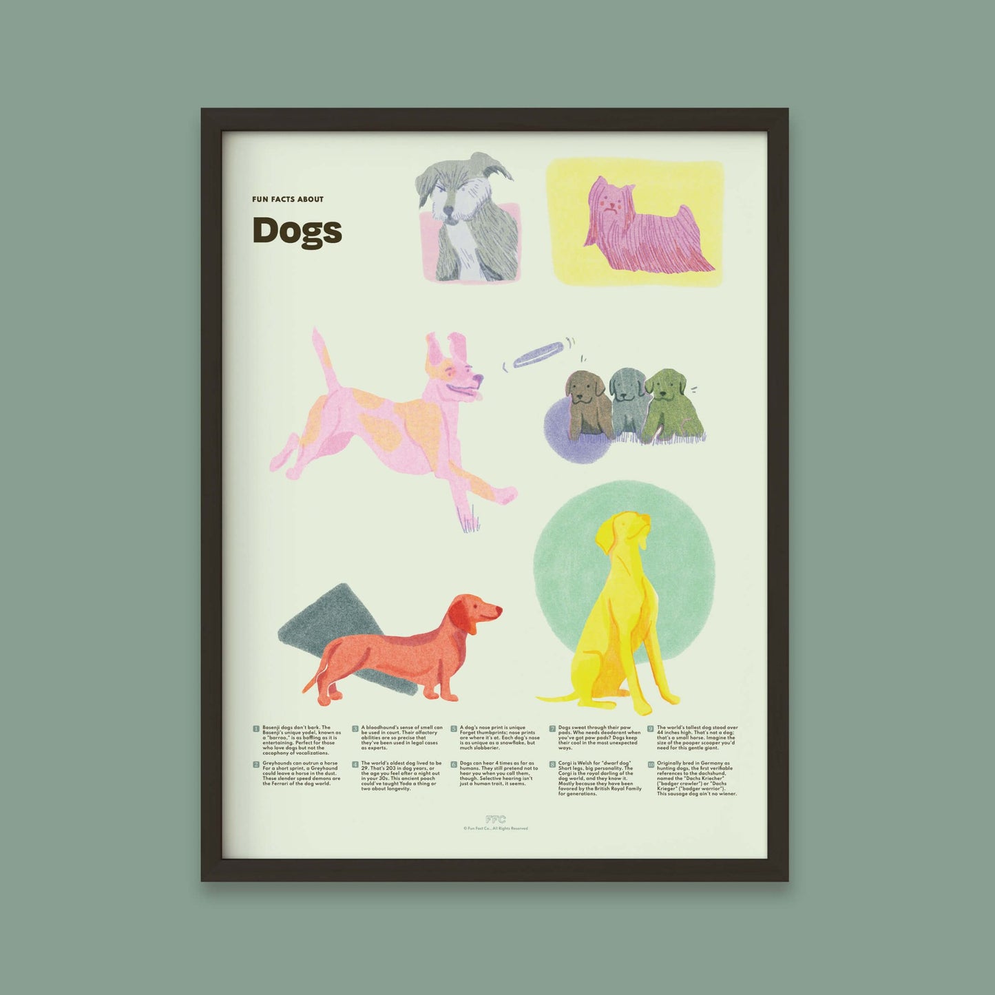 Dog Fun Facts Print - mosswell.us