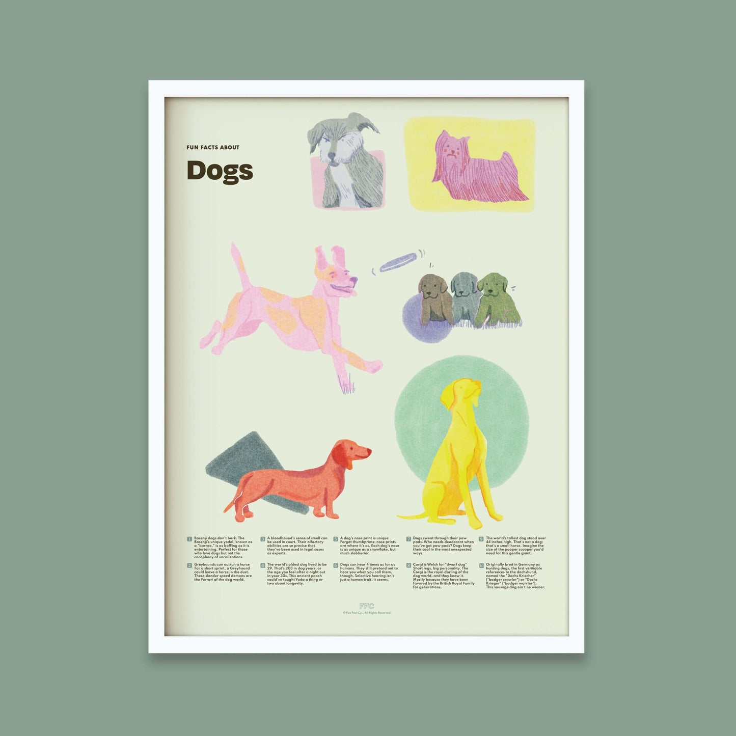 Dog Fun Facts Print - mosswell.us