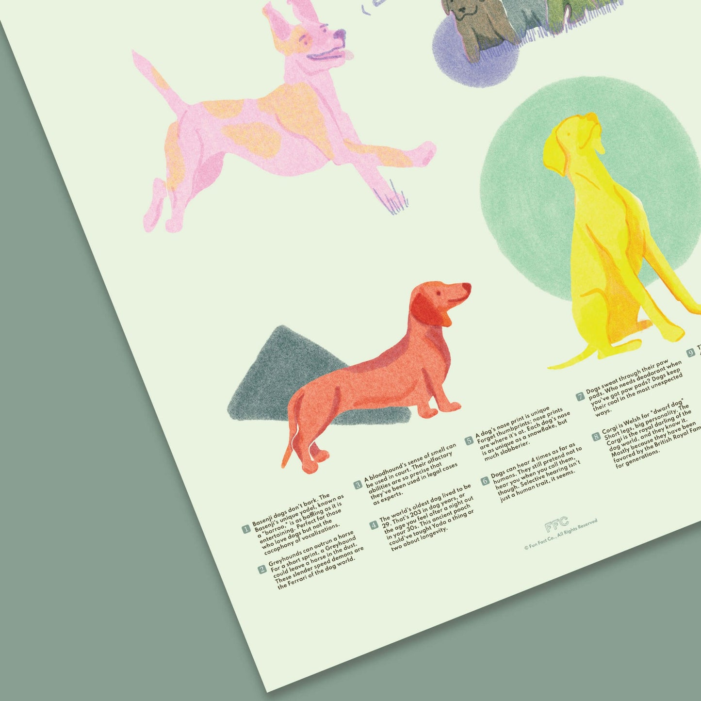 Dog Fun Facts Print - mosswell.us