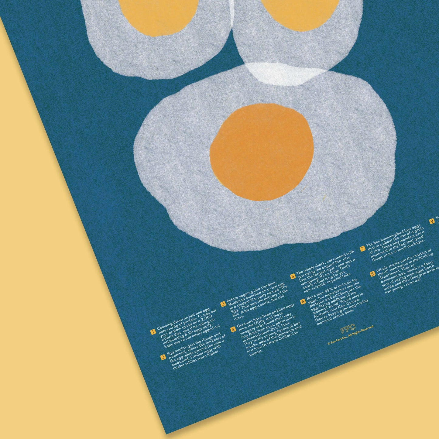 Egg Fun Facts Print - mosswell.us