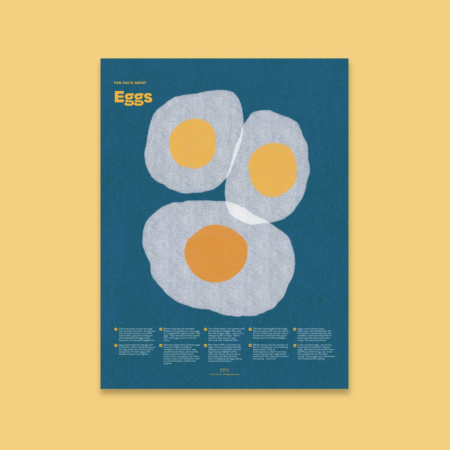 Egg Fun Facts Print - mosswell.us