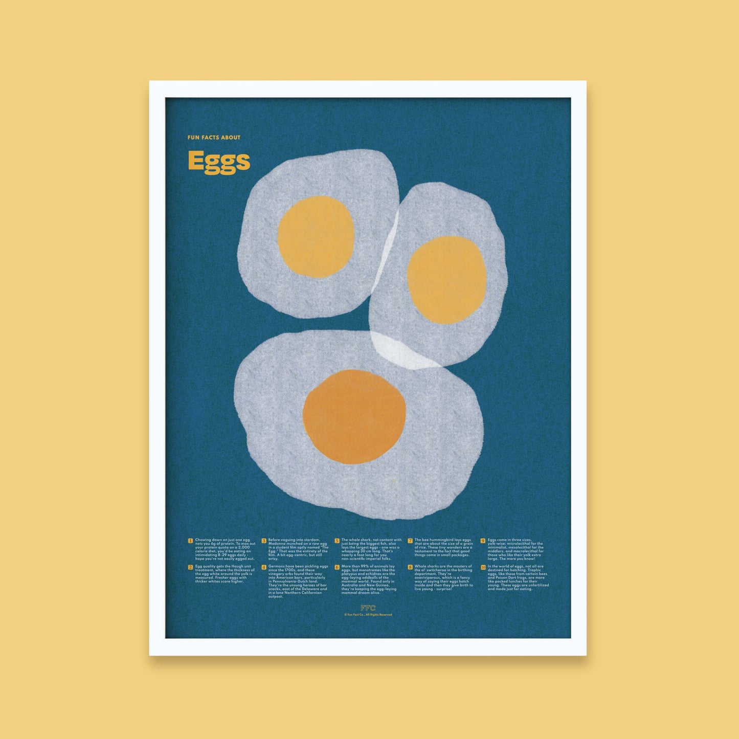 Egg Fun Facts Print - mosswell.us