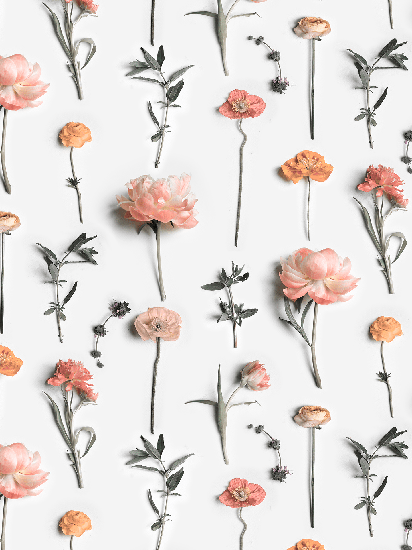 Fresh to Death Wallpaper, standard pattern, muted autumn - mosswell.us