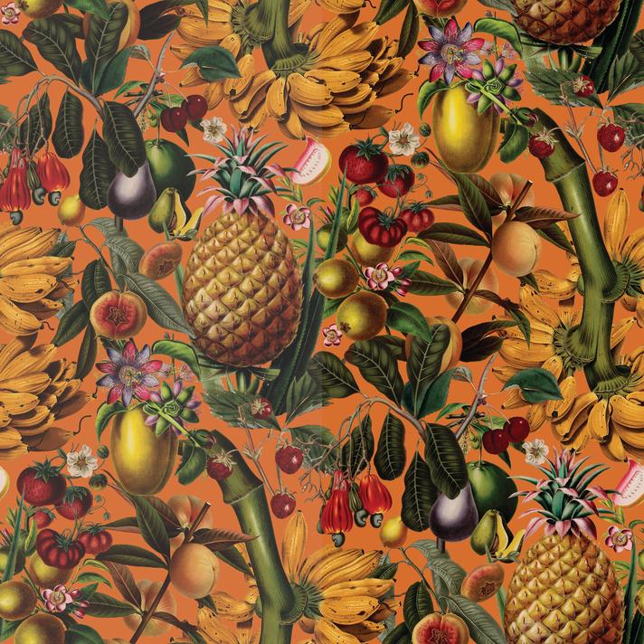 Juicy Fruit Wallpaper, orange - mosswell.us
