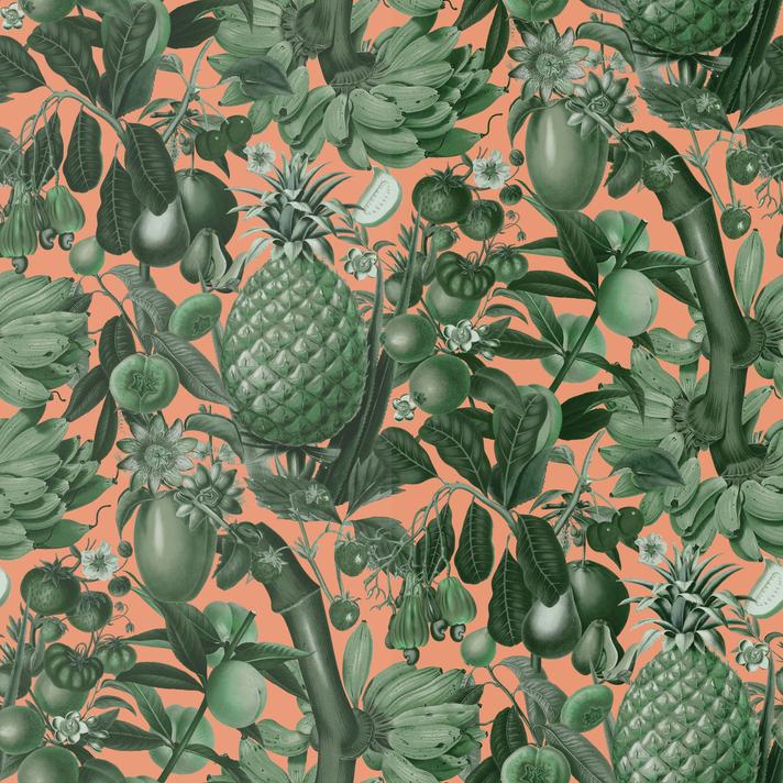 Juicy Fruit Wallpaper, peach and green - mosswell.us