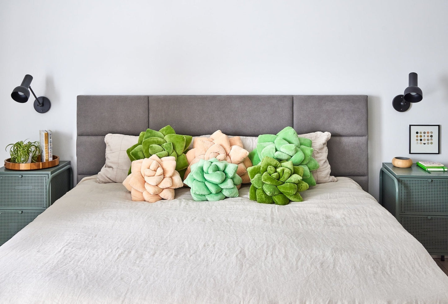 Lil' Pop Succulent® - Blush Peach - mosswell.us