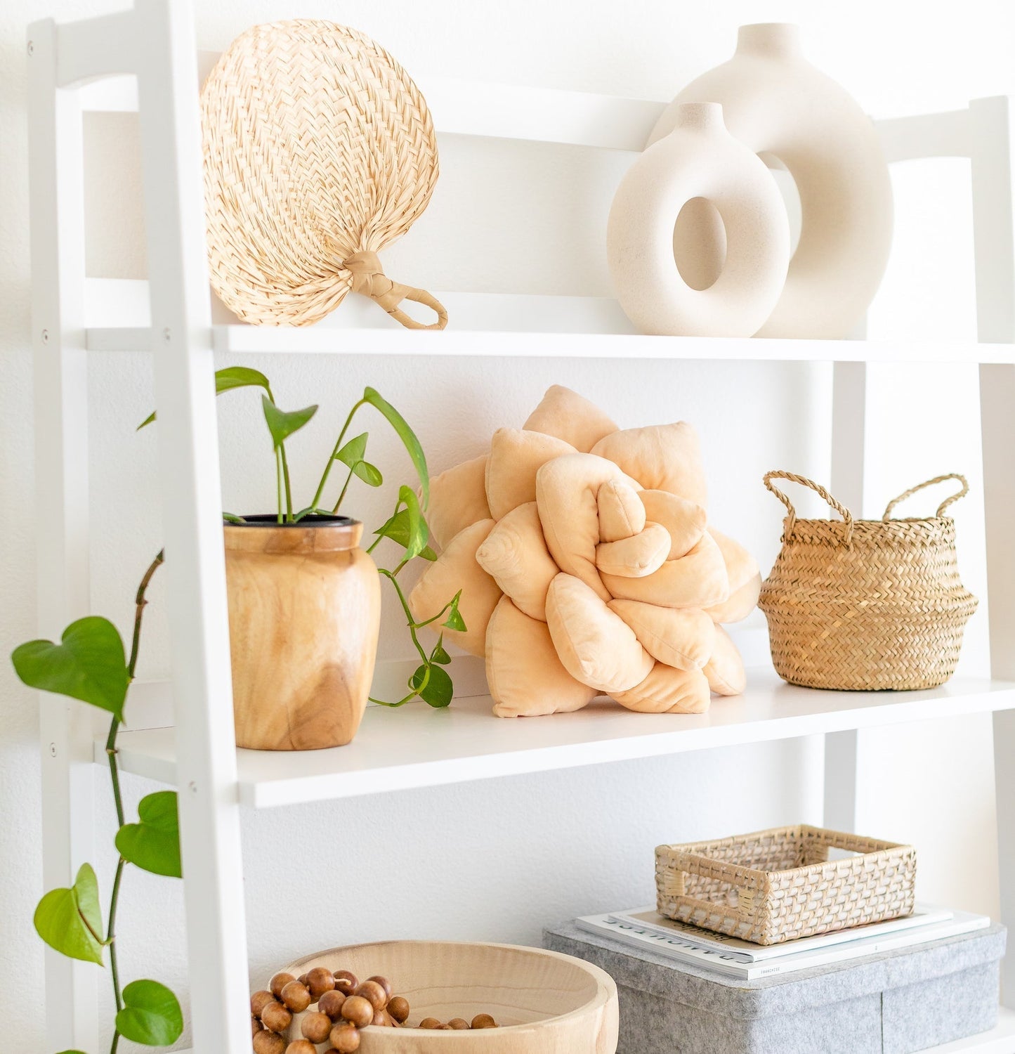 Lil' Pop Succulent® - Blush Peach - mosswell.us
