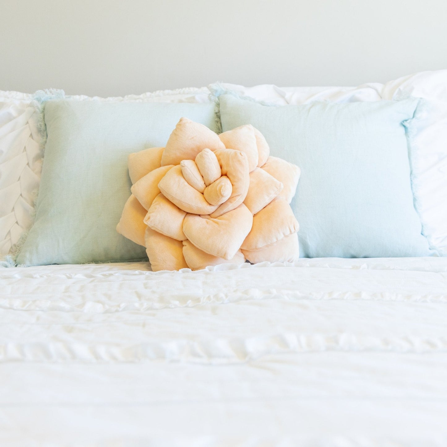 Lil' Pop Succulent® - Blush Peach - mosswell.us