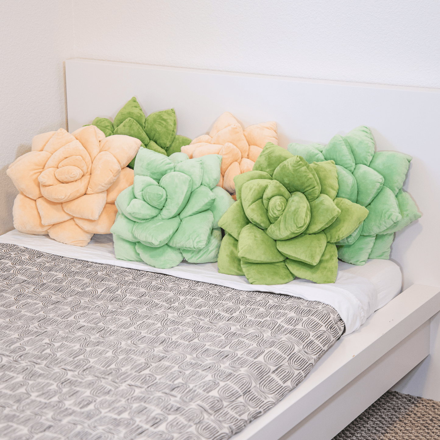 Lil' Pop Succulent® - Blush Peach - mosswell.us