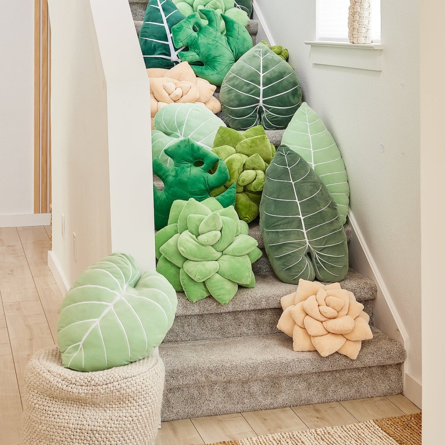 Lil' Pop Succulent® - Blush Peach - mosswell.us