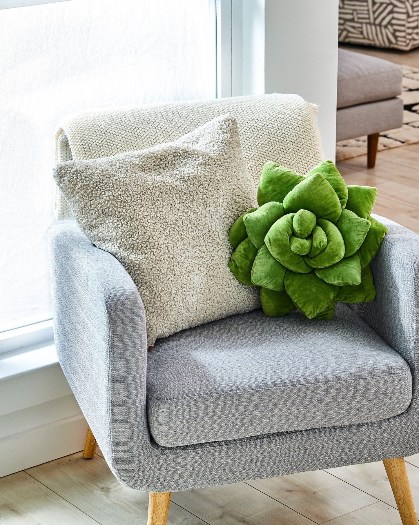Lil' Pop Succulent® - Olive Green - mosswell.us