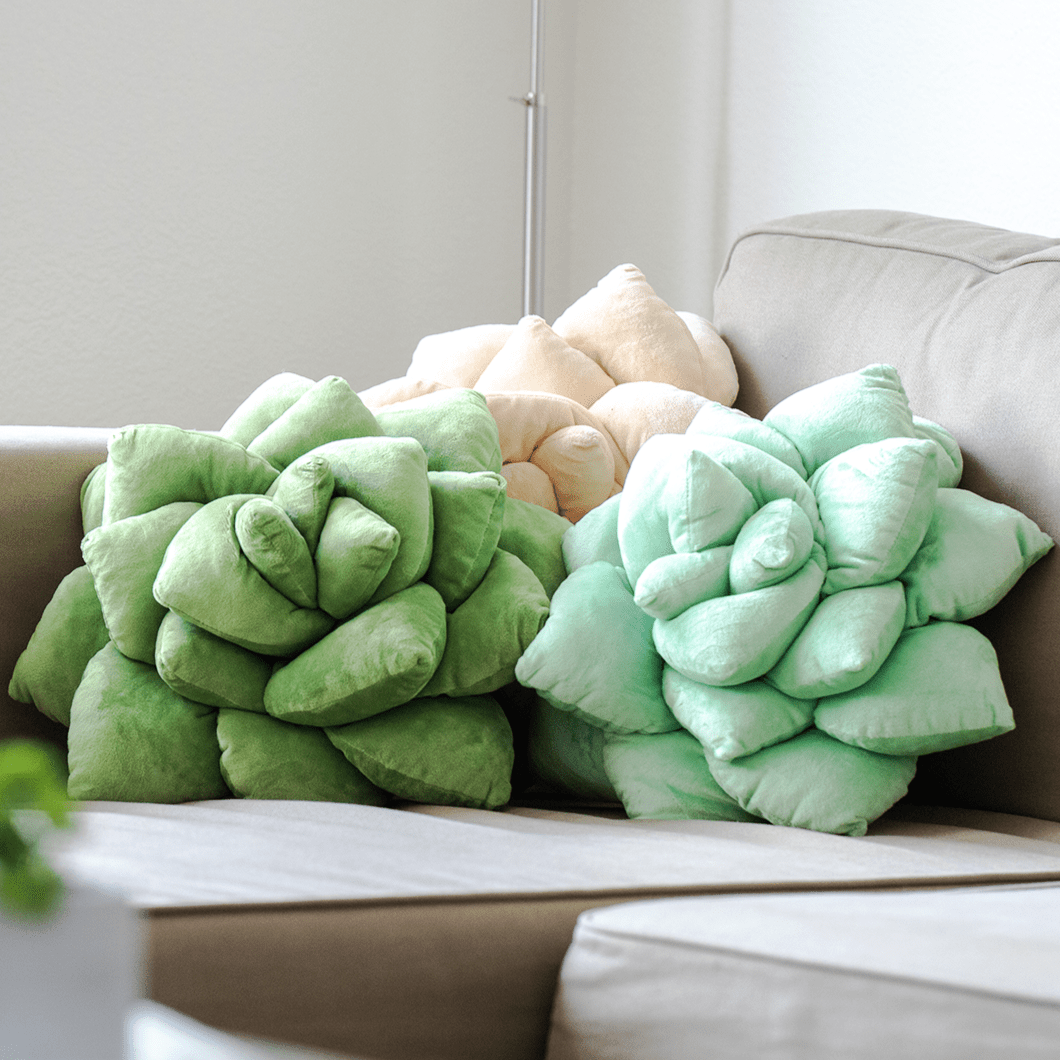 Lil' Pop Succulent® - Olive Green - mosswell.us