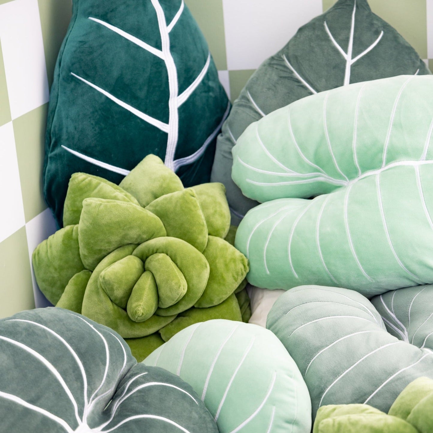 Lil' Pop Succulent® - Olive Green - mosswell.us