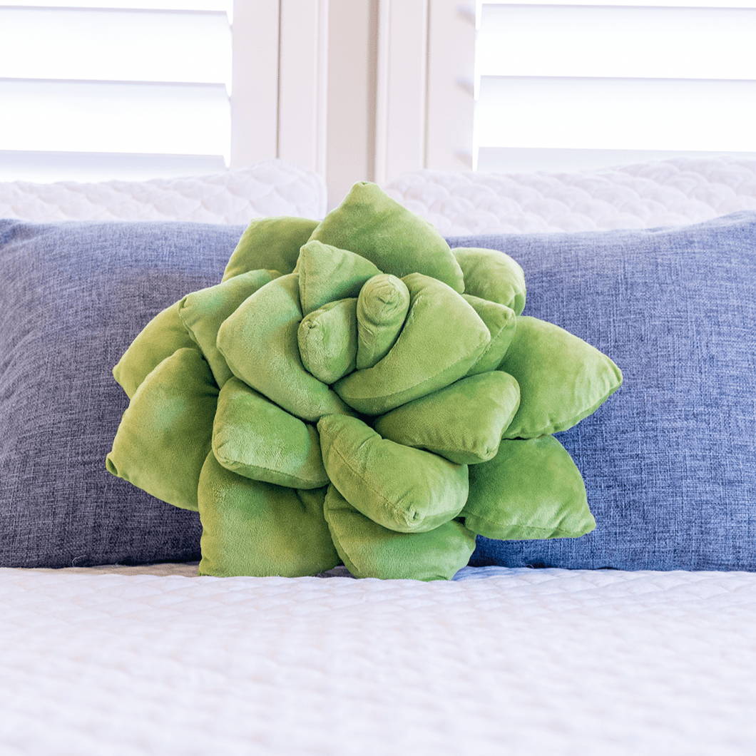 Lil' Pop Succulent® - Olive Green - mosswell.us