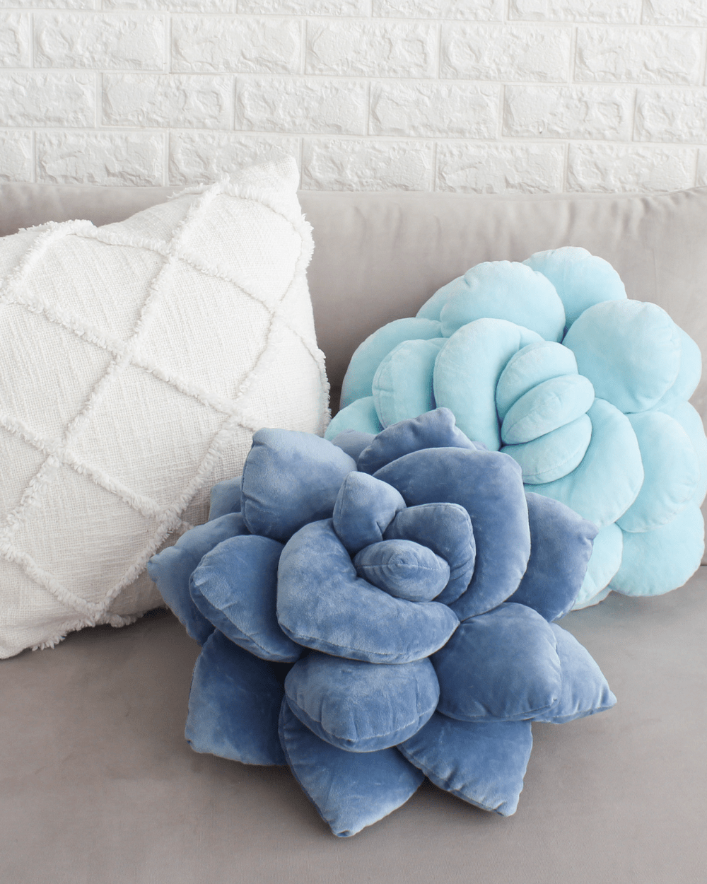 Lil' Pop Succulent® - Smokey Blue - mosswell.us