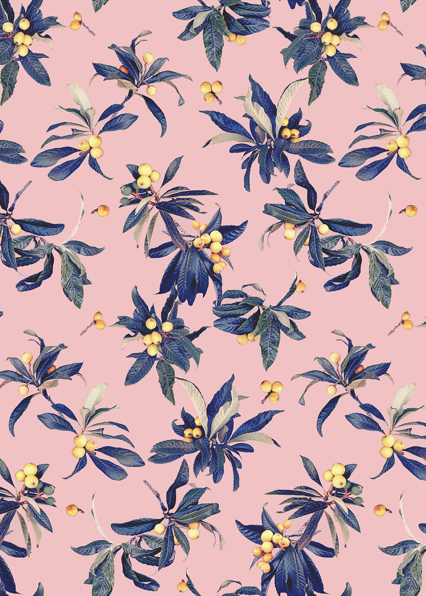 Loquat Love Wallpaper, pink - mosswell.us