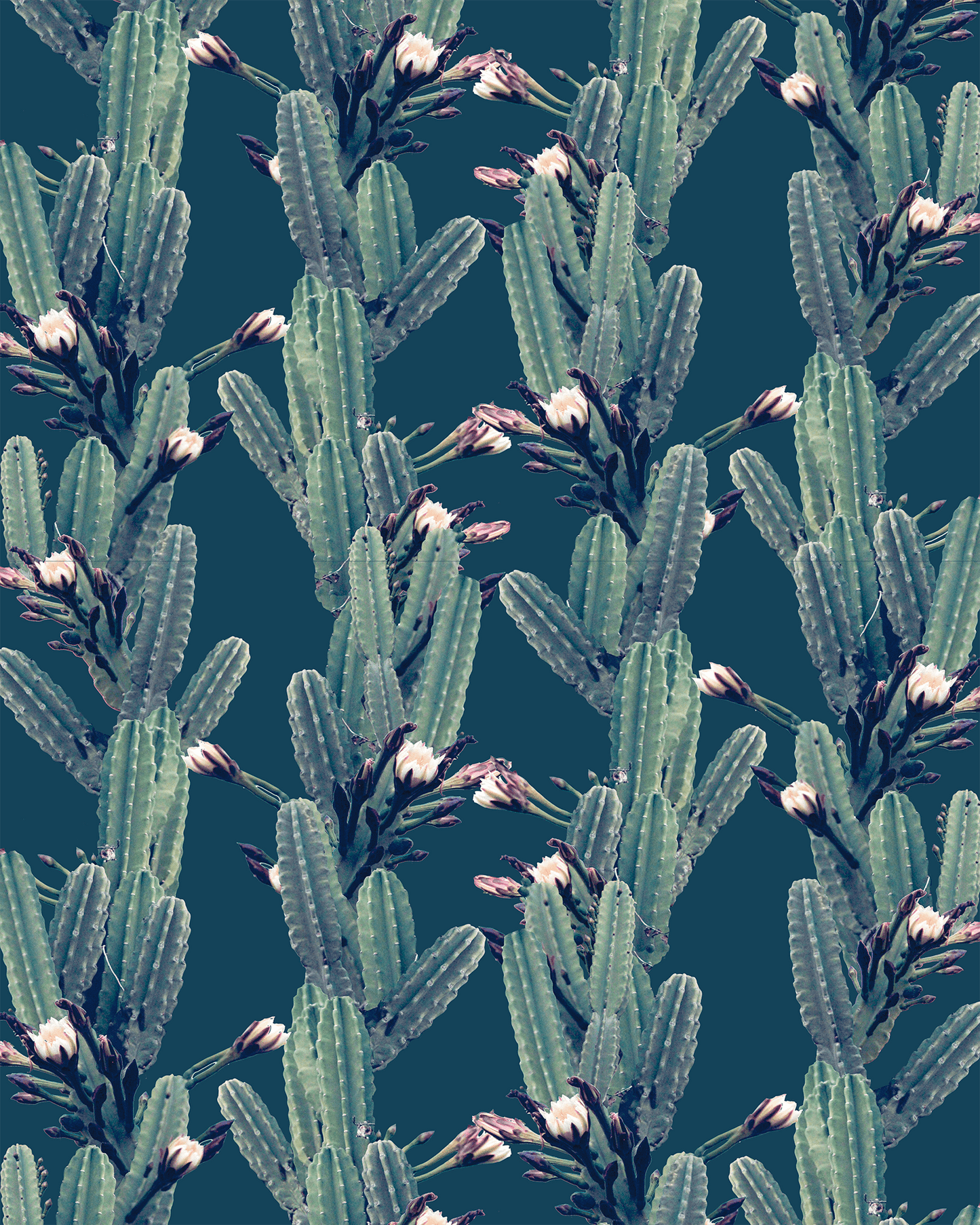 Los Cactus Wallpaper, blue - mosswell.us