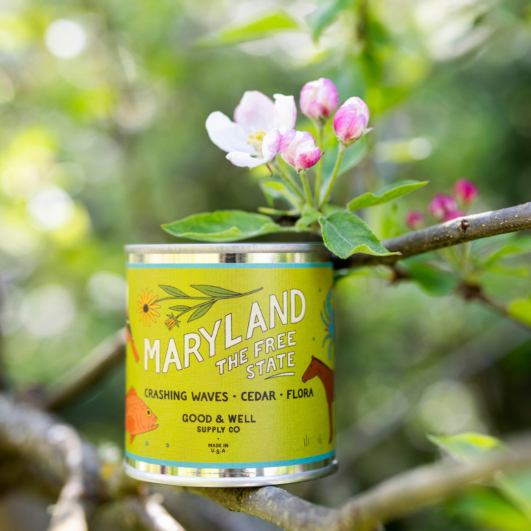 Maryland State Candle - mosswell.us