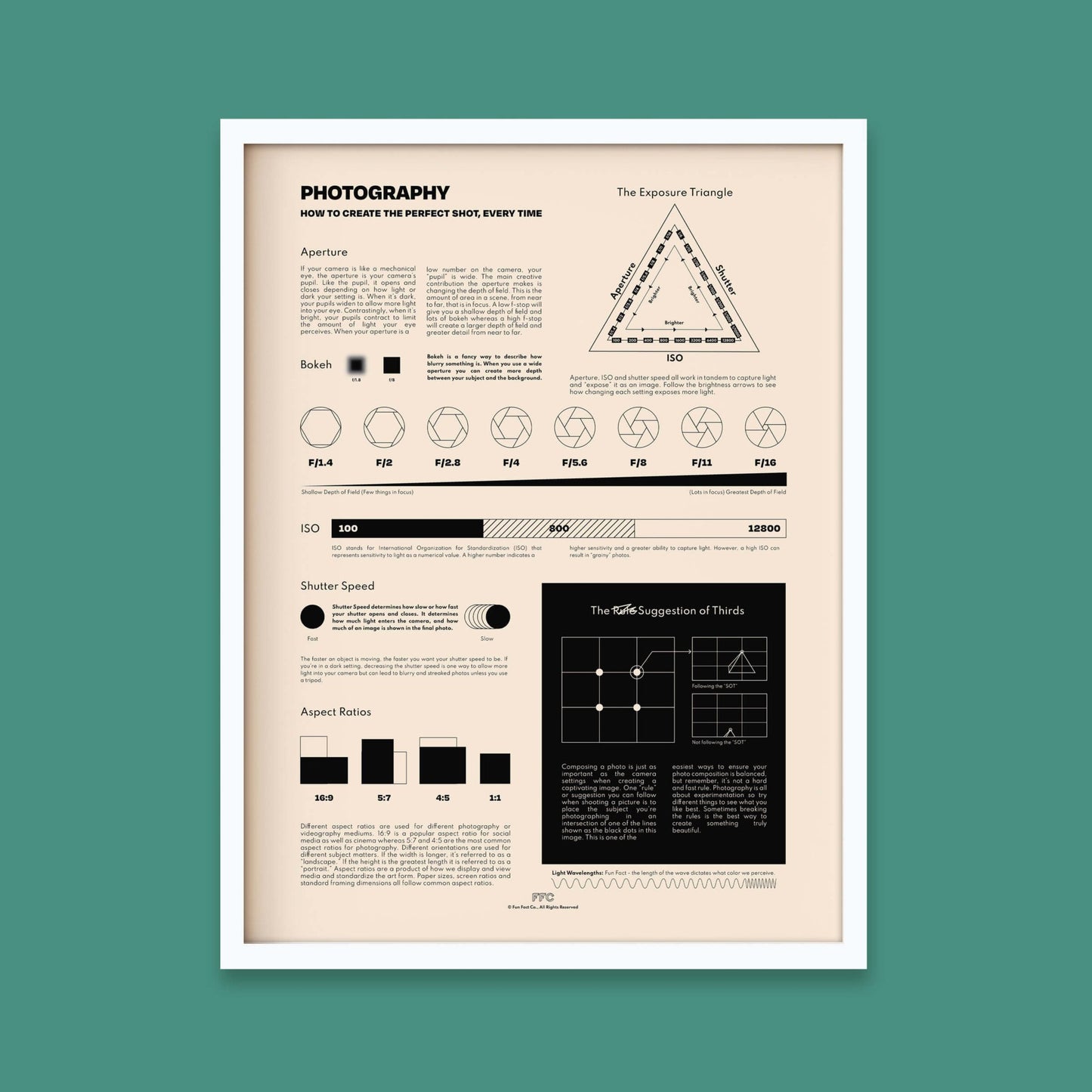 Photography Chart Print - mosswell.us