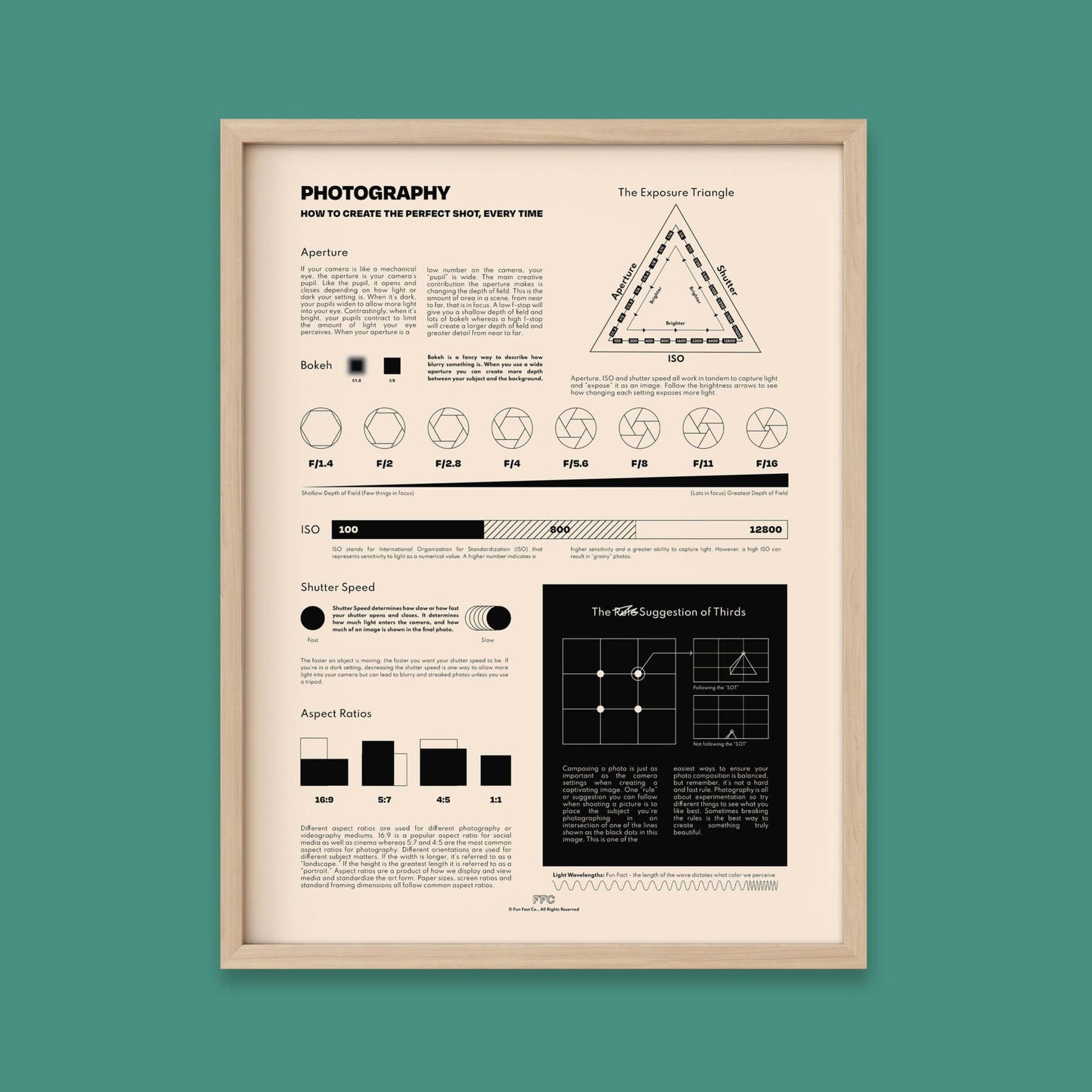 Photography Chart Print - mosswell.us