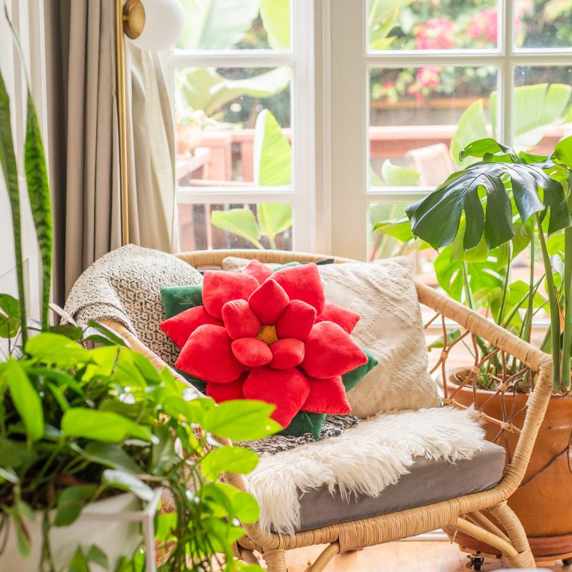 Poinsettia Pillow - Christmas Red - mosswell.us