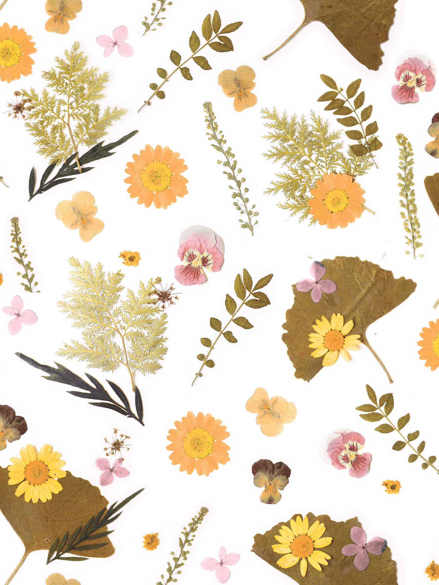 Pressed Fresh Version 01 Wallpaper, orange and pink - mosswell.us