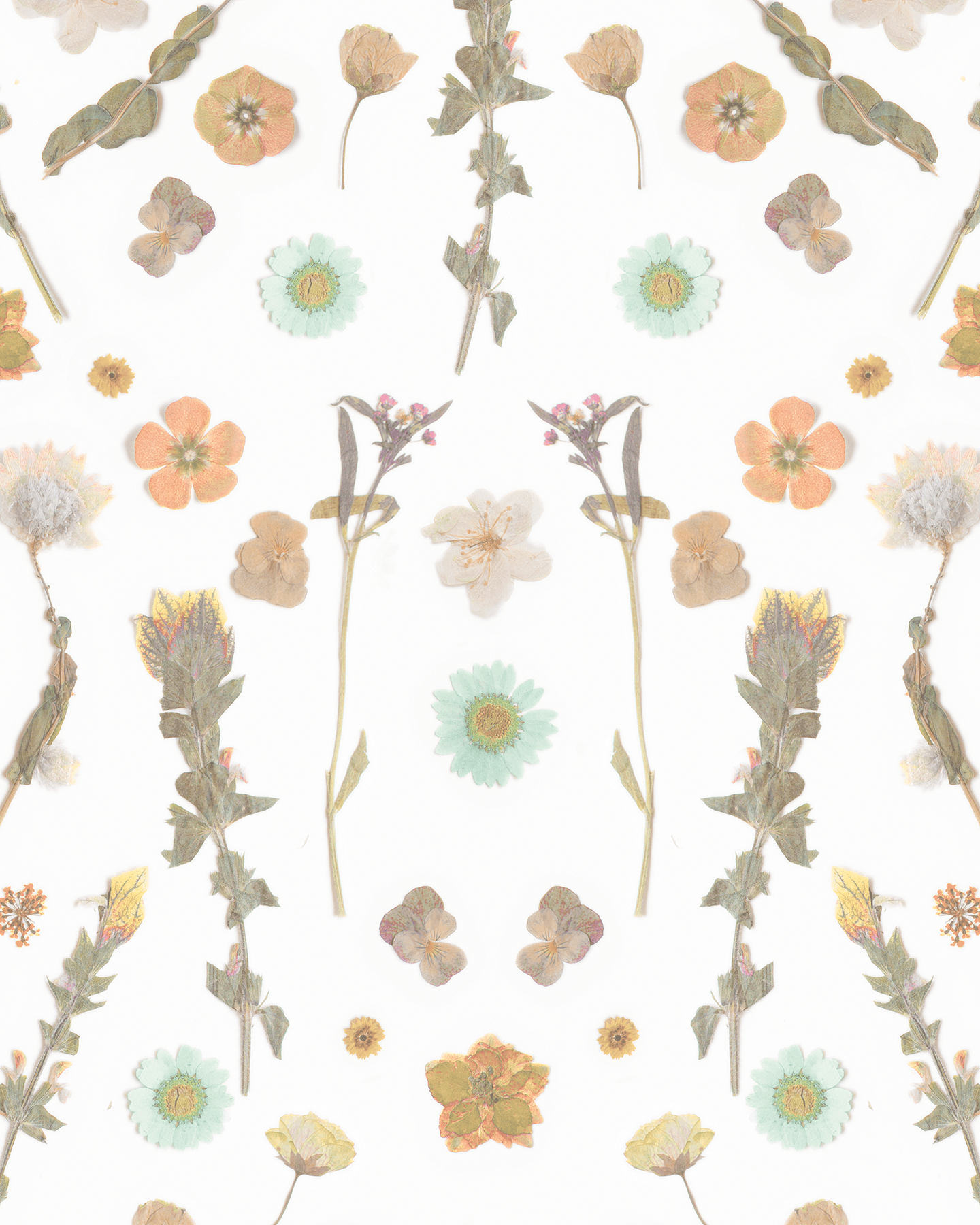 Pressed Fresh Version 02 Wallpaper, peach and mint - mosswell.us