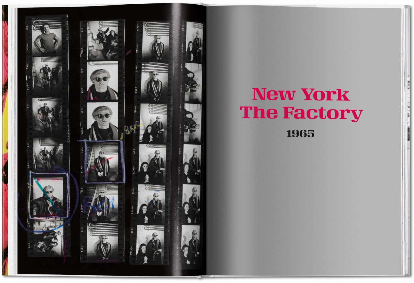 Steve Schapiro. Andy Warhol and Friends (English) - mosswell.us