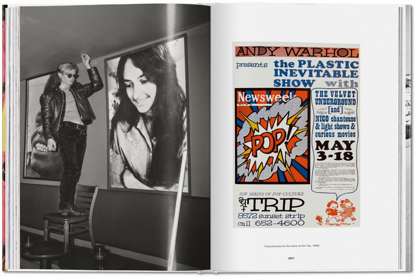 Steve Schapiro. Andy Warhol and Friends (English) - mosswell.us