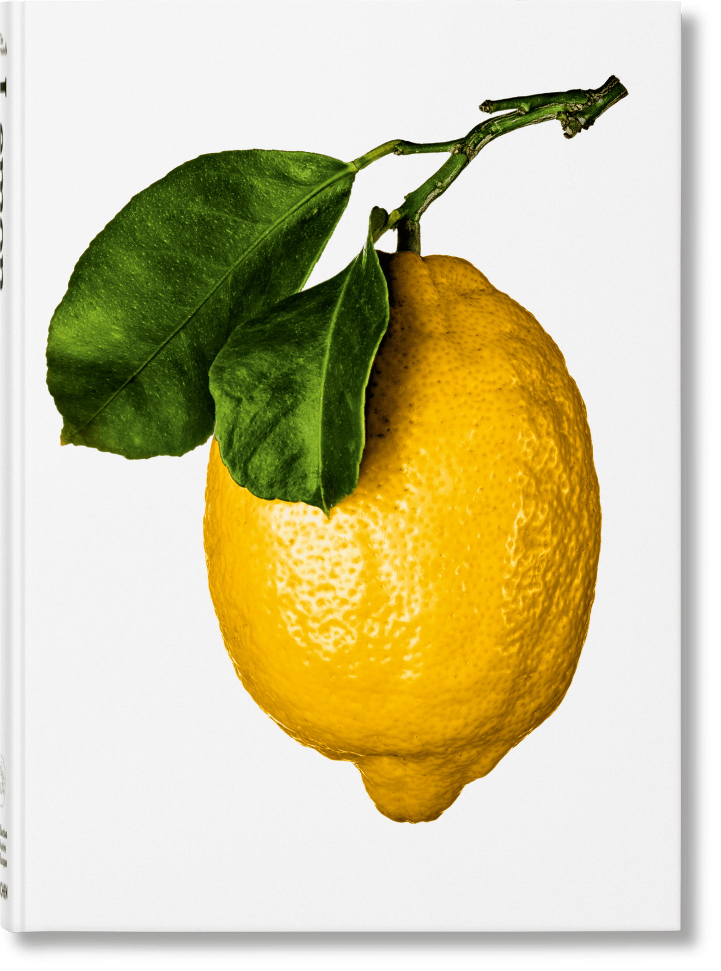 The Gourmand's Lemon. A Collection of Stories and Recipes (English) - mosswell.us