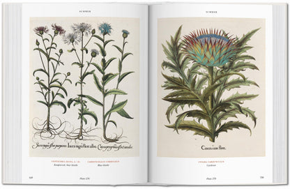 Basilius Besler. Florilegium. The Book of Plants (English)