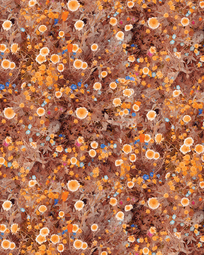 Cali Flowers Wallpaper, golden hour