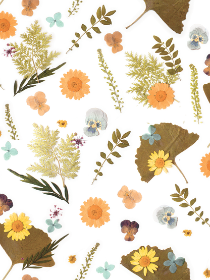 Pressed Fresh Version 01 Wallpaper, merigold & teal