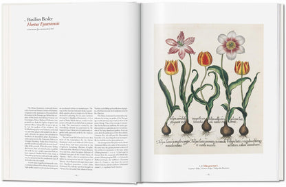 A Garden Eden. Masterpieces of Botanical Illustration (German, French, English) - mosswell.us