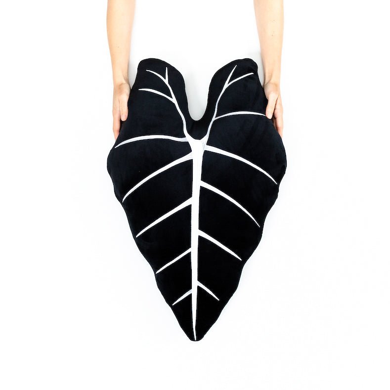 Alocasia Frydek - Obsidian - mosswell.us