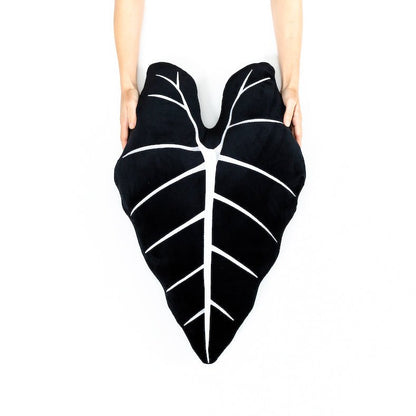Alocasia Frydek - Obsidian - mosswell.us