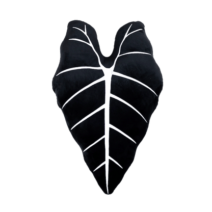 Alocasia Frydek - Obsidian - mosswell.us