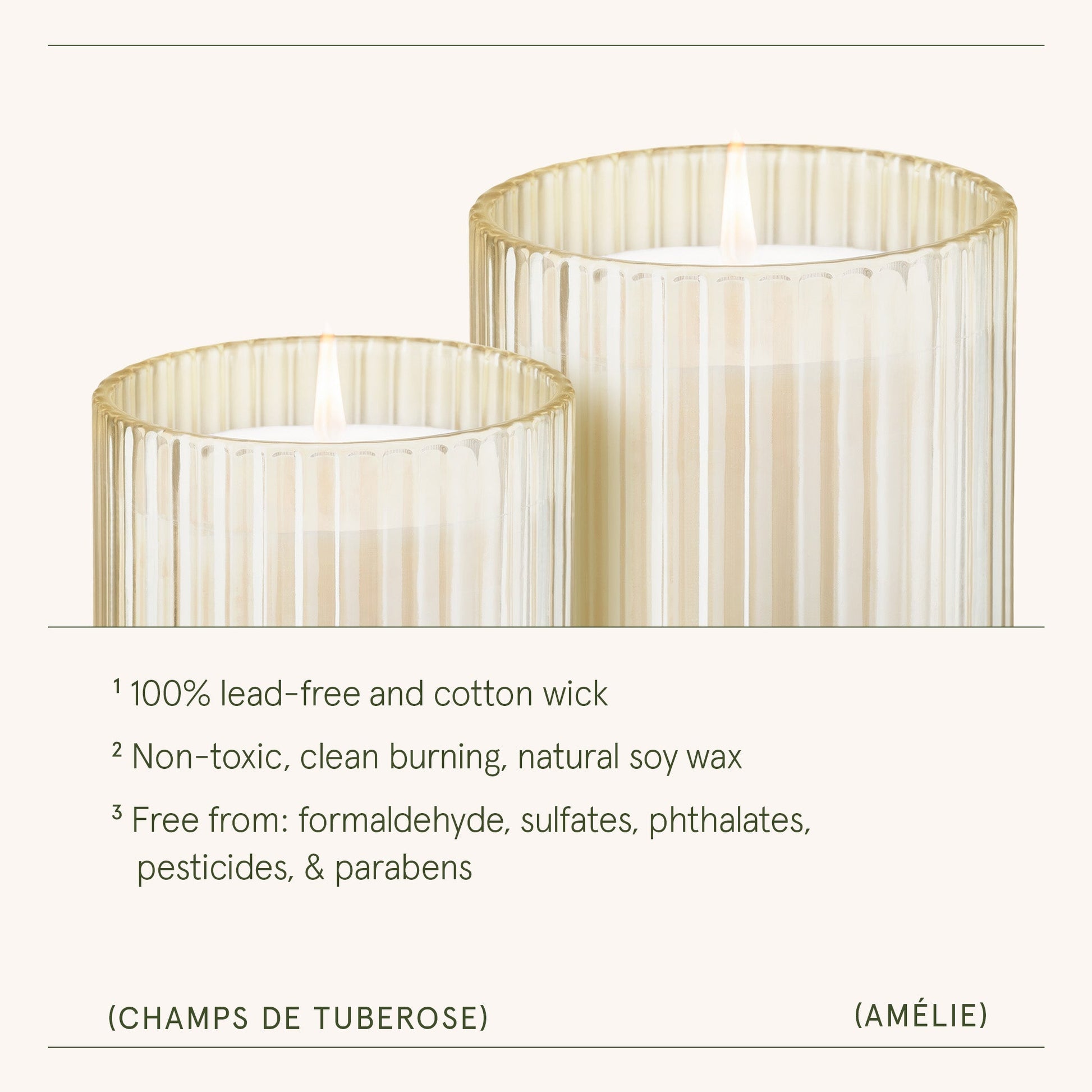 Amélie – Champs de Tuberose Candle - mosswell.us