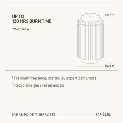 Amélie – Champs de Tuberose Candle - mosswell.us